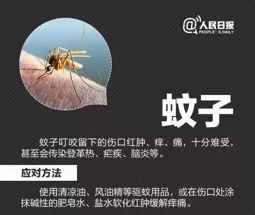 攻击性强!红火蚁已入侵12省份 攻击性强!红火蚁已入侵12省份