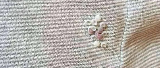 小心了！很多人家中突然大量出现……