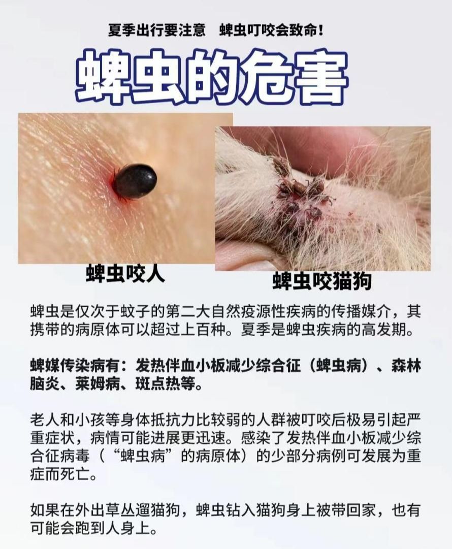 踏青出行，如何防蜱虫？