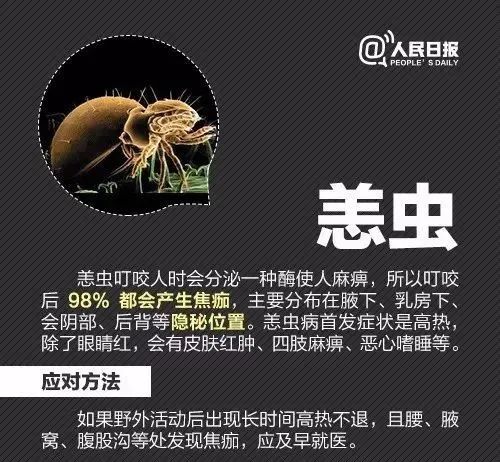 攻击性强!红火蚁已入侵12省份 攻击性强!红火蚁已入侵12省份