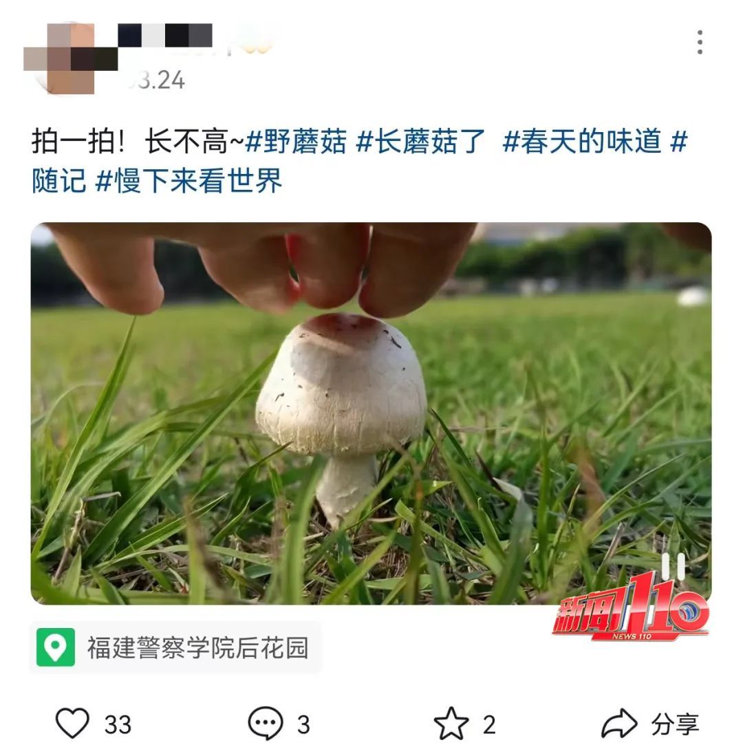 福建紧急提醒:别碰!别吃!福州已有人中毒…… 福建紧急提醒:别碰!别吃!福州已有人中毒……