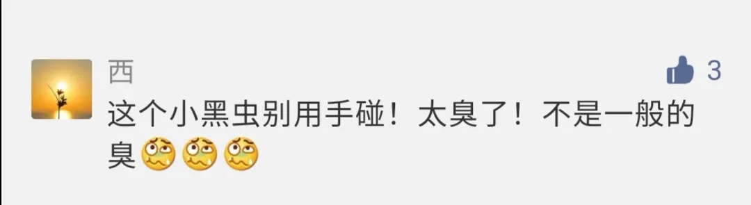 一见到就是14颗？别碰！很臭！福建已出现！