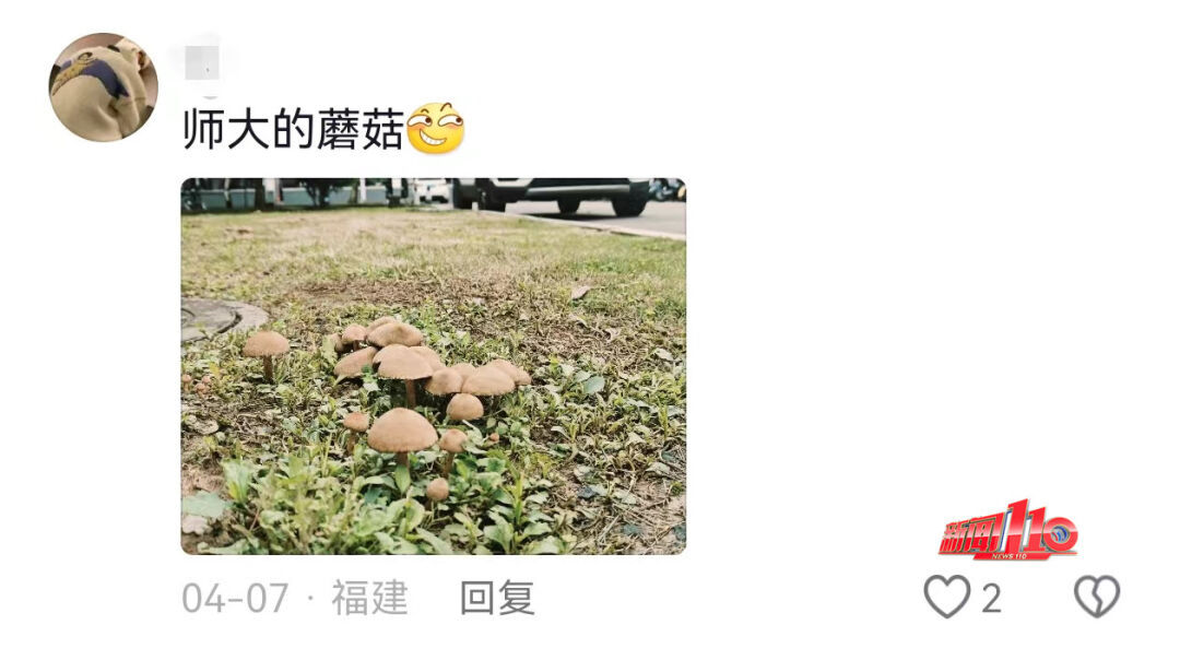 福建紧急提醒:别碰!别吃!福州已有人中毒…… 福建紧急提醒:别碰!别吃!福州已有人中毒……