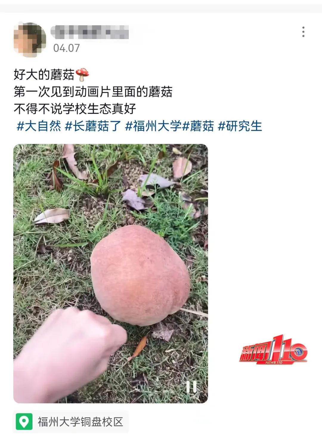 福建紧急提醒:别碰!别吃!福州已有人中毒…… 福建紧急提醒:别碰!别吃!福州已有人中毒……