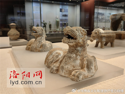 新增50余件文物！洛阳考古博物馆重新开馆