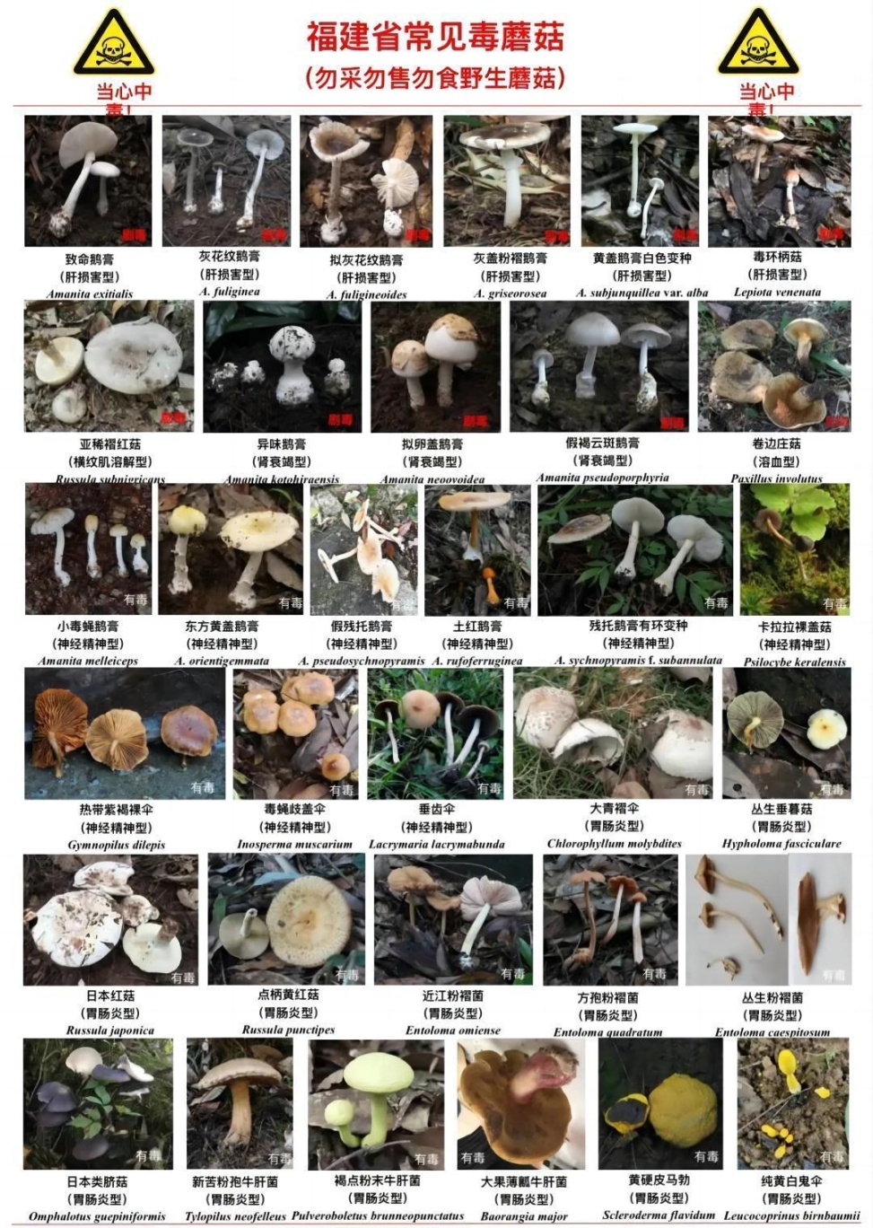 福建紧急提醒:别碰!别吃!福州已有人中毒…… 福建紧急提醒:别碰!别吃!福州已有人中毒……