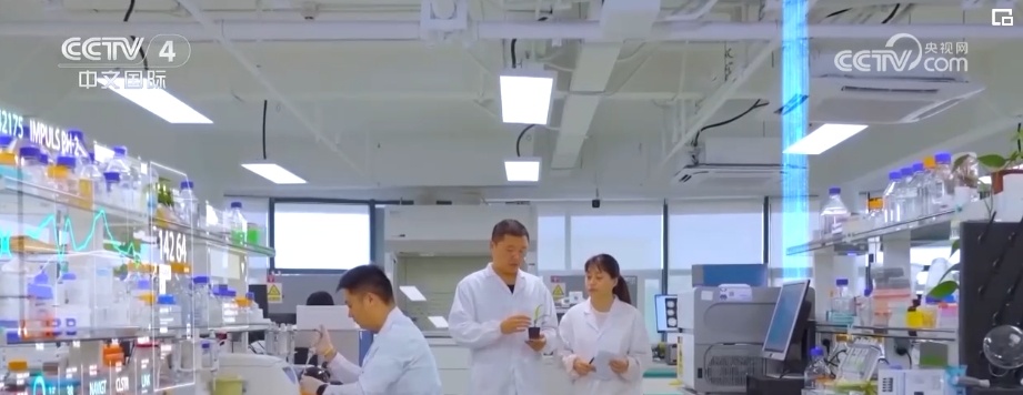 海南发力提升“领先度”“加速度”“感受度” 构建“4+3+3”特色现代化产业体系