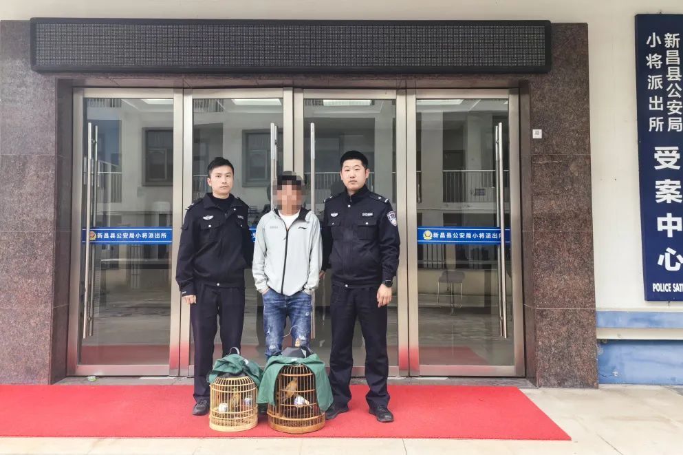 画眉鸟身陷“牢笼” 生态警长出手相救