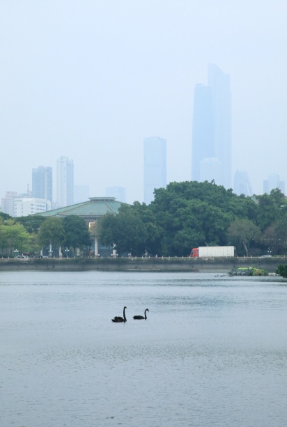 广州周末直冲32℃！暴雨+冰雹+雷雨大风即将返场