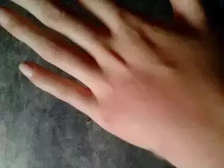 小心了！很多人家中突然大量出现……