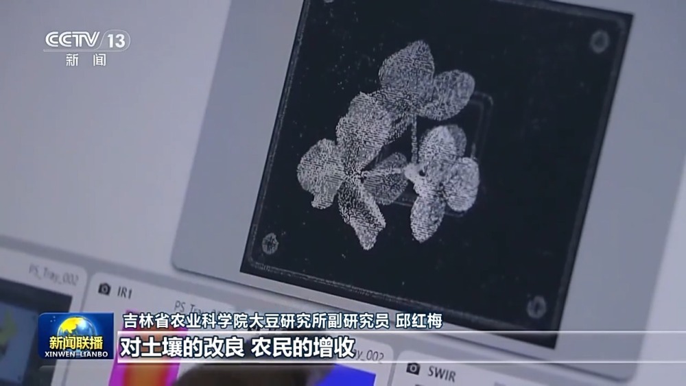 在希望的田野上丨良种+良机+良法 各地春耕有妙招 在希望的田野上丨良种+良机+良法 各地春耕有妙招