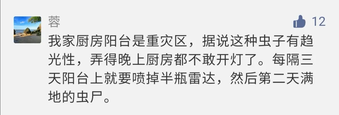 一见到就是14颗？别碰！很臭！福建已出现！