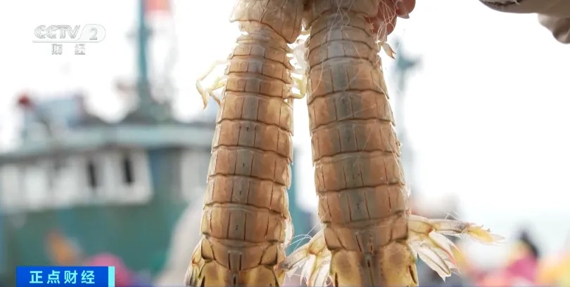 供不应求！很多人爱吃的它，迎来收获季