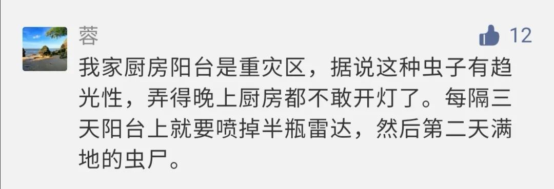 好臭！快检查阳台衣服！这东西福建也出现了…