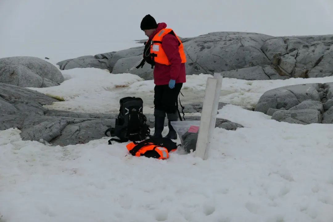 中国科大的他们在南极“出差”,是啥体验? 中国科大的他们在南极“出差”,是啥体验?