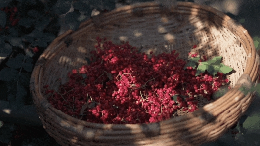 好品中国｜一“麻”一“辣”，解锁“甘味”密码