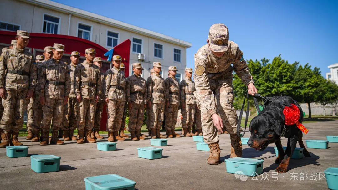 汪！无言 “战士”入列