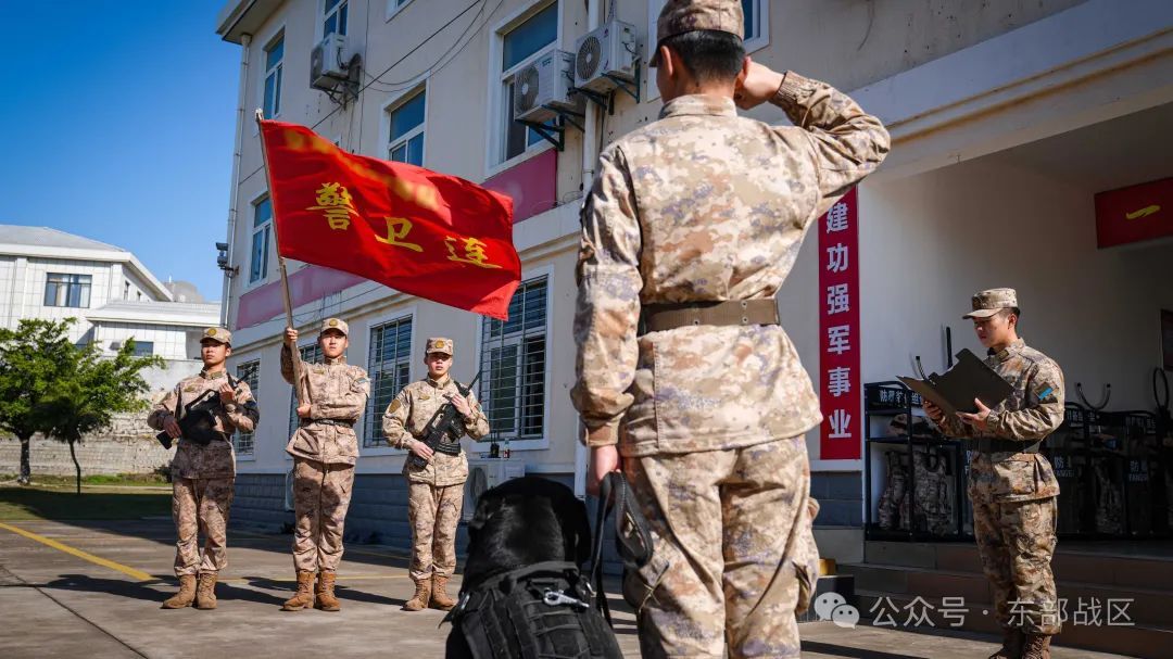 汪！无言 “战士”入列