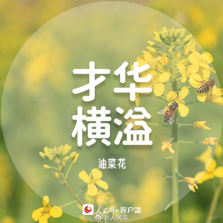 收藏美好!春日花花祝福语 收藏美好!春日花花祝福语