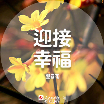 收藏美好!春日花花祝福语 收藏美好!春日花花祝福语