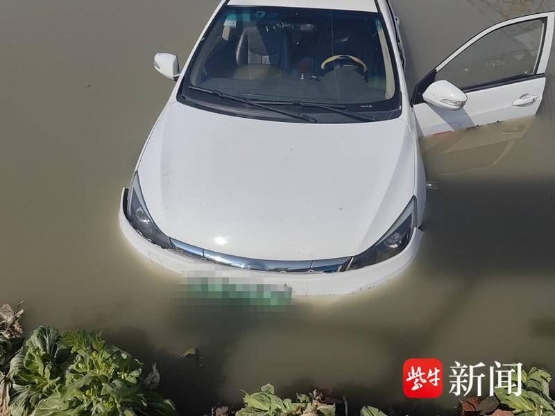 误把油门当刹车，轿车落入水塘