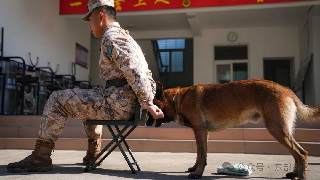 汪！无言 “战士”入列