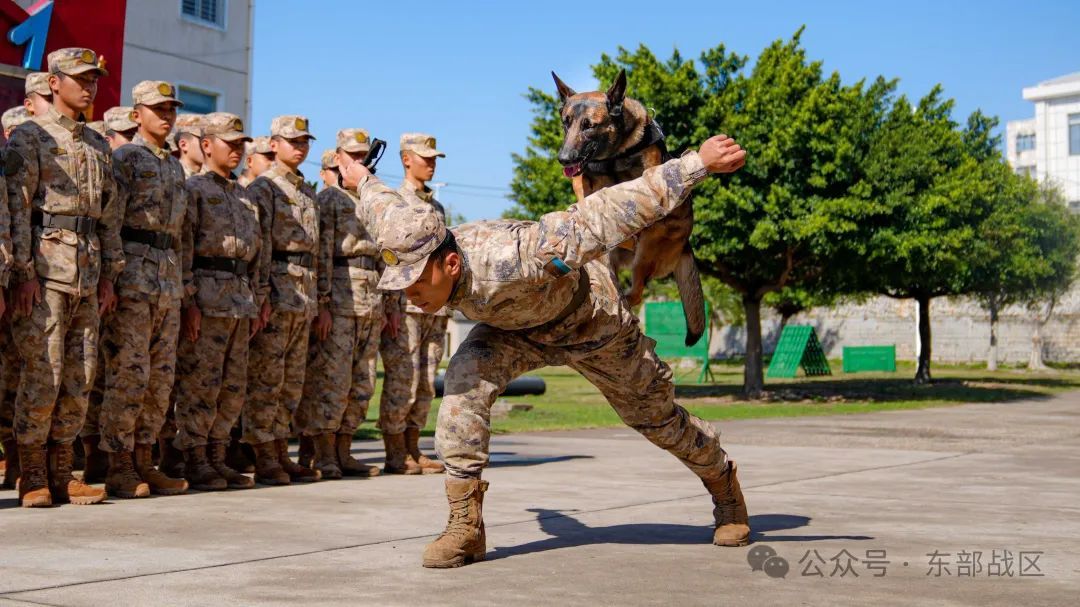 汪！无言 “战士”入列