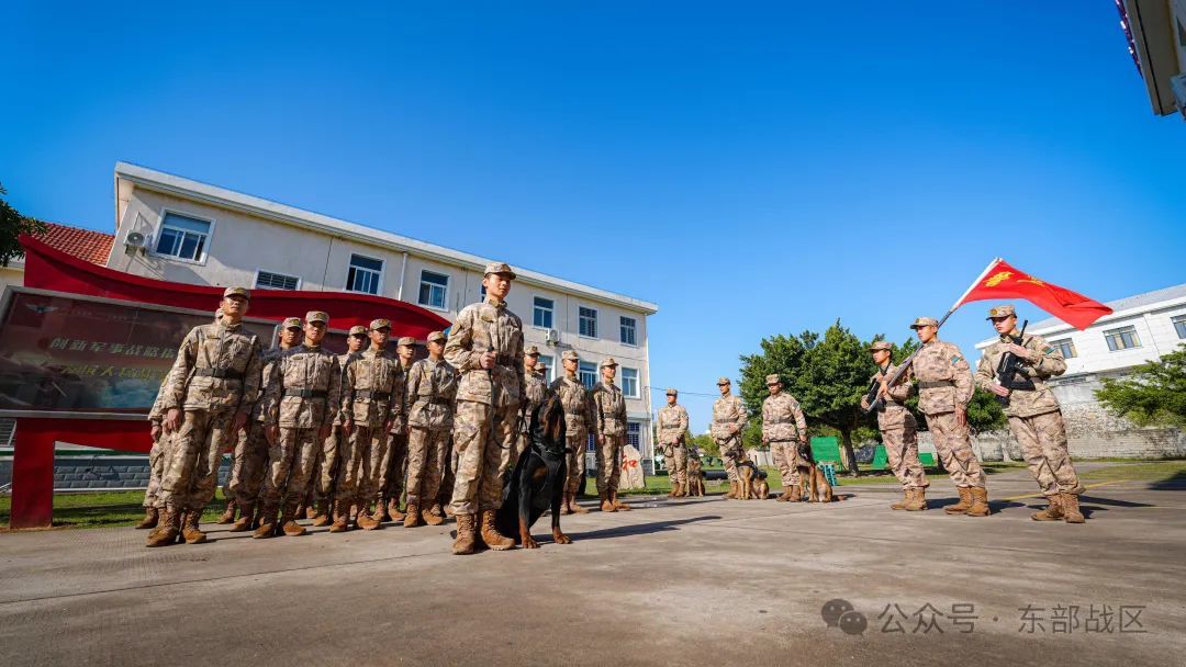 汪！无言 “战士”入列