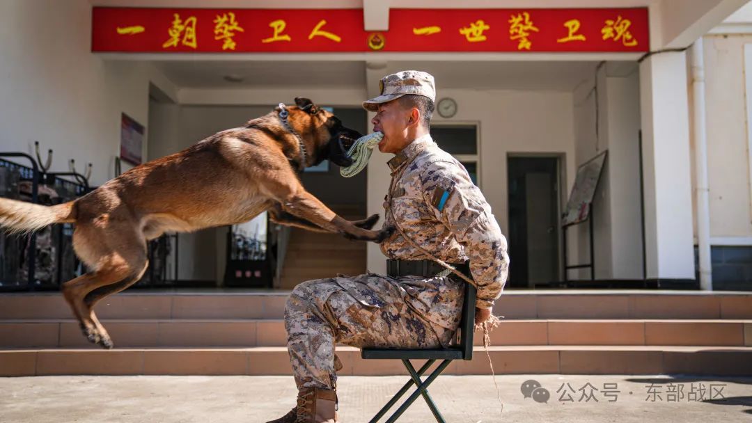 汪！无言 “战士”入列