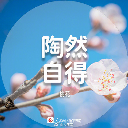 收藏美好!春日花花祝福语 收藏美好!春日花花祝福语