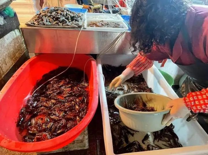 价格腰斩！很多人的最爱！浙江大量上市，提醒：这个部位不建议吃