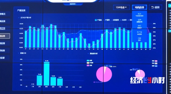 “智能模式”养鸡场 1人1年养20万只鸡 怎么做到的? “智能模式”养鸡场 1人1年养20万只鸡 怎么做到的?