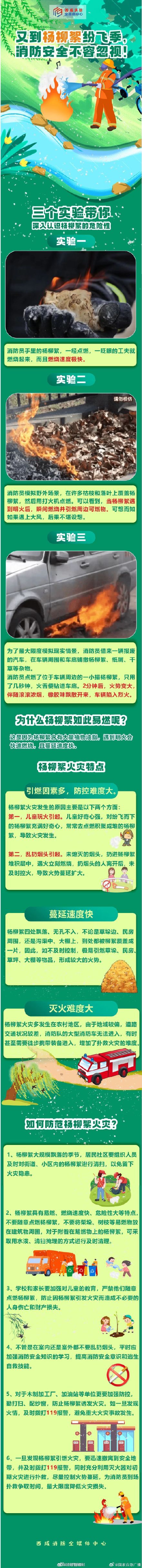 三个实验带你认识杨柳絮危险 三个实验带你认识杨柳絮危险