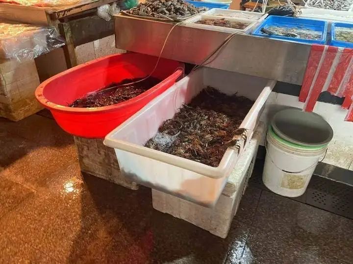 价格腰斩！很多人的最爱！浙江大量上市，提醒：这个部位不建议吃