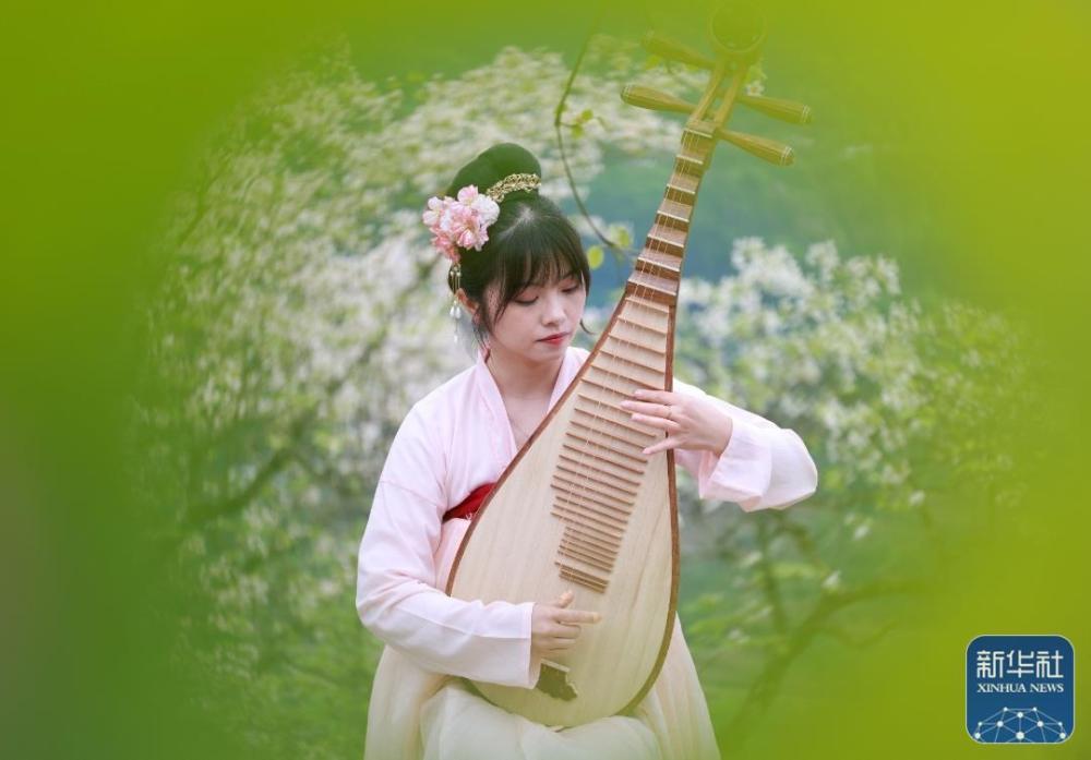 贵州正安：油桐花盛开引客来