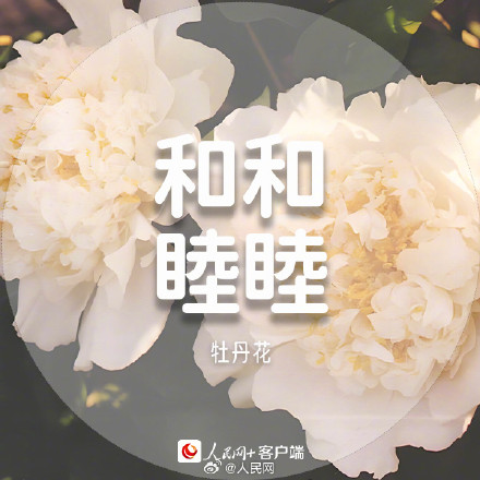 收藏美好!春日花花祝福语 收藏美好!春日花花祝福语