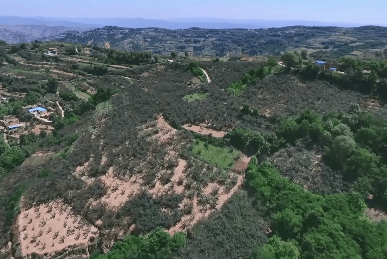 好品中国｜一“麻”一“辣”，解锁“甘味”密码