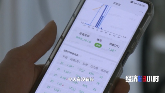 “智能模式”养鸡场 1人1年养20万只鸡 怎么做到的? “智能模式”养鸡场 1人1年养20万只鸡 怎么做到的?