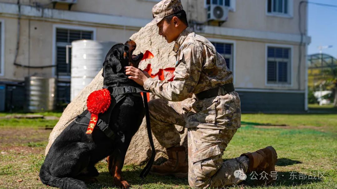 汪！无言 “战士”入列