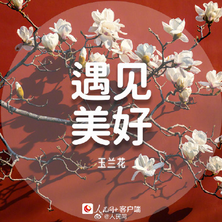 收藏美好!春日花花祝福语 收藏美好!春日花花祝福语