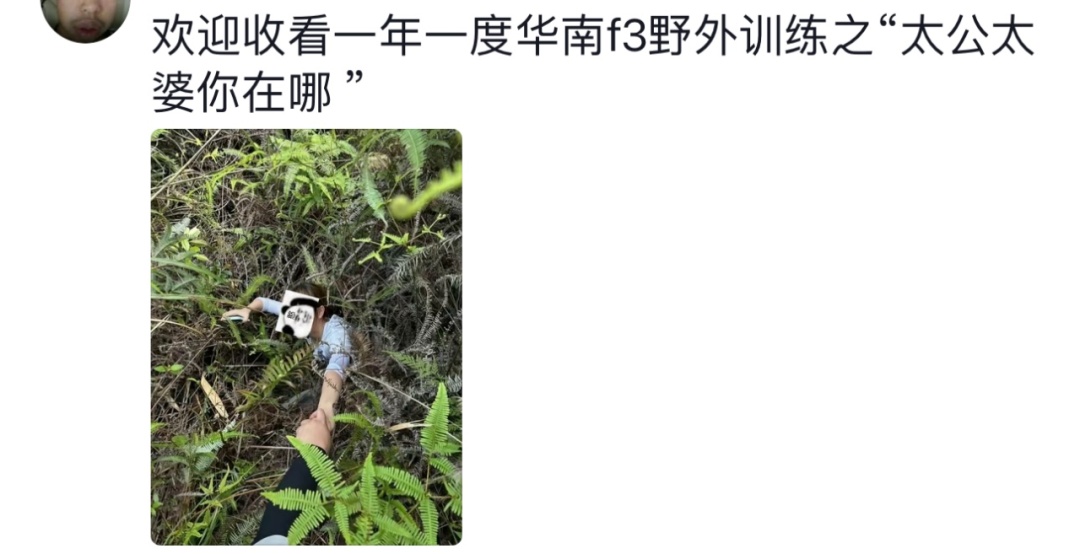 祖宗你在哪儿？硬核祭祖！有人勇闯深山，差点被祖宗留下