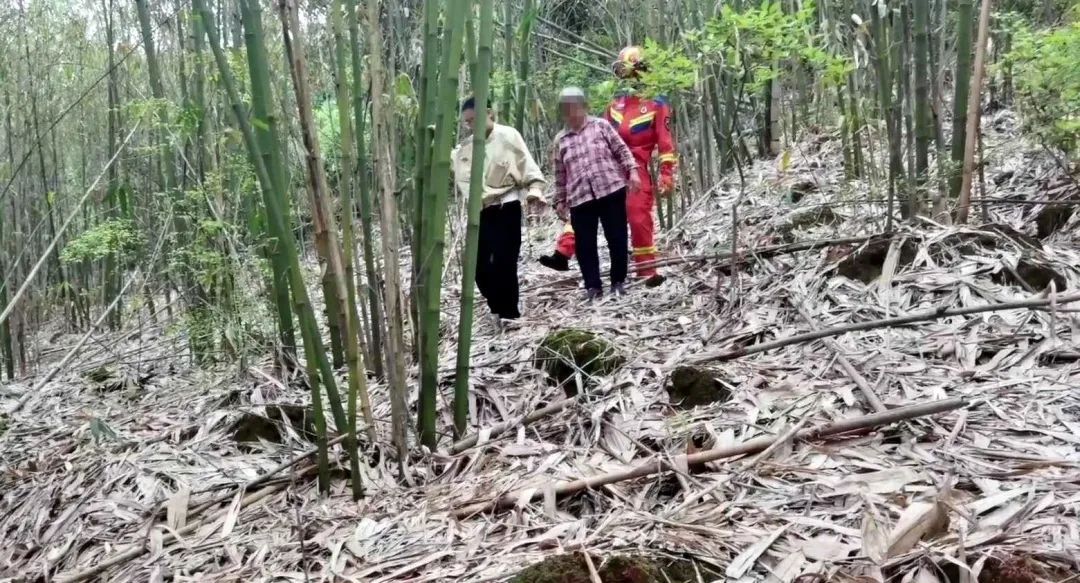 祖宗你在哪儿？硬核祭祖！有人勇闯深山，差点被祖宗留下