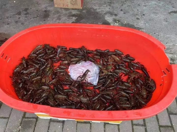 价格腰斩！很多人的最爱！浙江大量上市，提醒：这个部位不建议吃