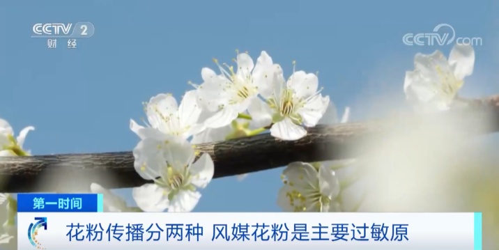 春季高发！福州很多人中招！有人因这病突发车祸！医生提醒......