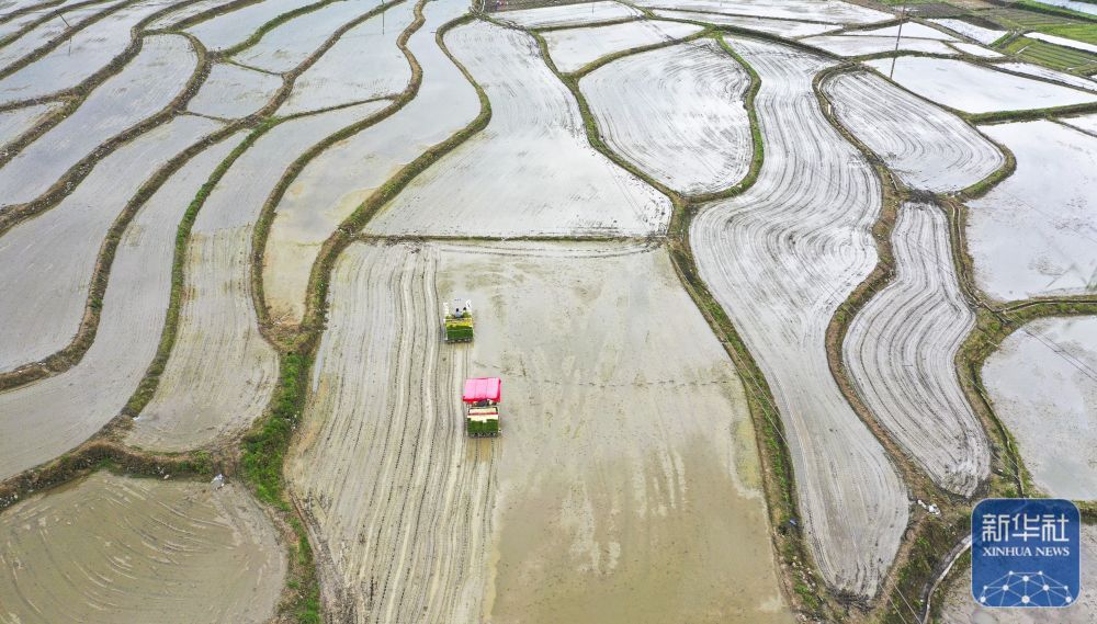 暮春风来暖 田间勤耕耘
