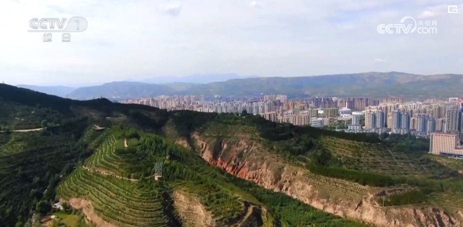 与恶劣环境“硬碰硬” 高原上的“播种者”植树“添”绿让荒地变绿荫