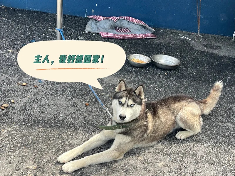 我可没在派出所吃“闲饭”！
