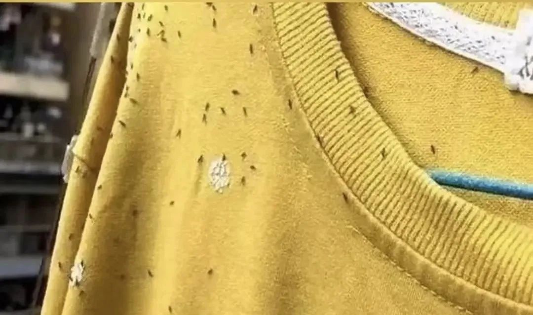 近期注意！少穿这种衣服出门