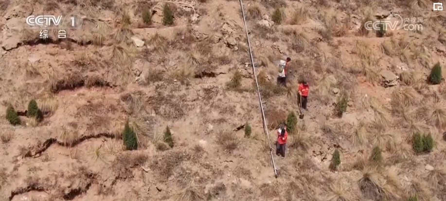 与恶劣环境“硬碰硬” 高原上的“播种者”植树“添”绿让荒地变绿荫