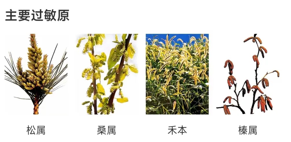 春季高发！福州很多人中招！有人因这病突发车祸！医生提醒......